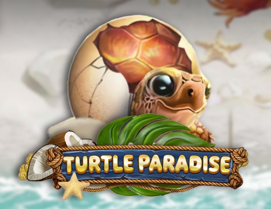 Turtle Paradise